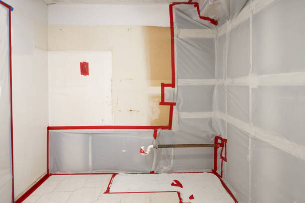 Best Water Damage & Mold Remediation  in USA